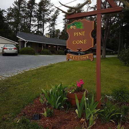 Pinecone Motel Sussex Dış mekan fotoğraf