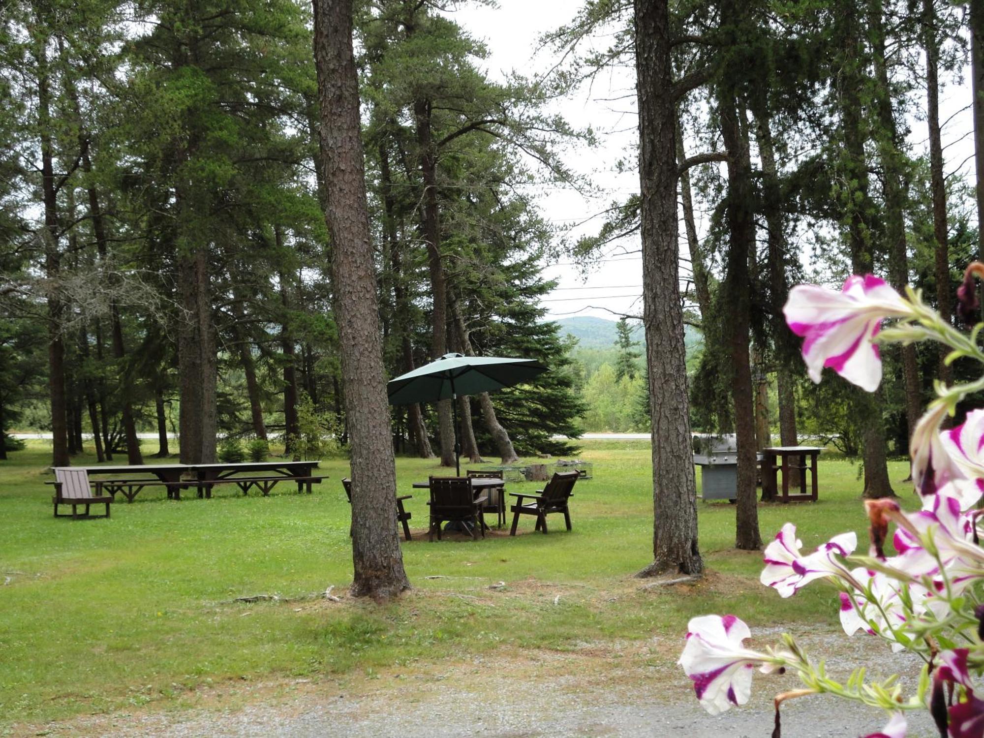 Pinecone Motel Sussex Dış mekan fotoğraf