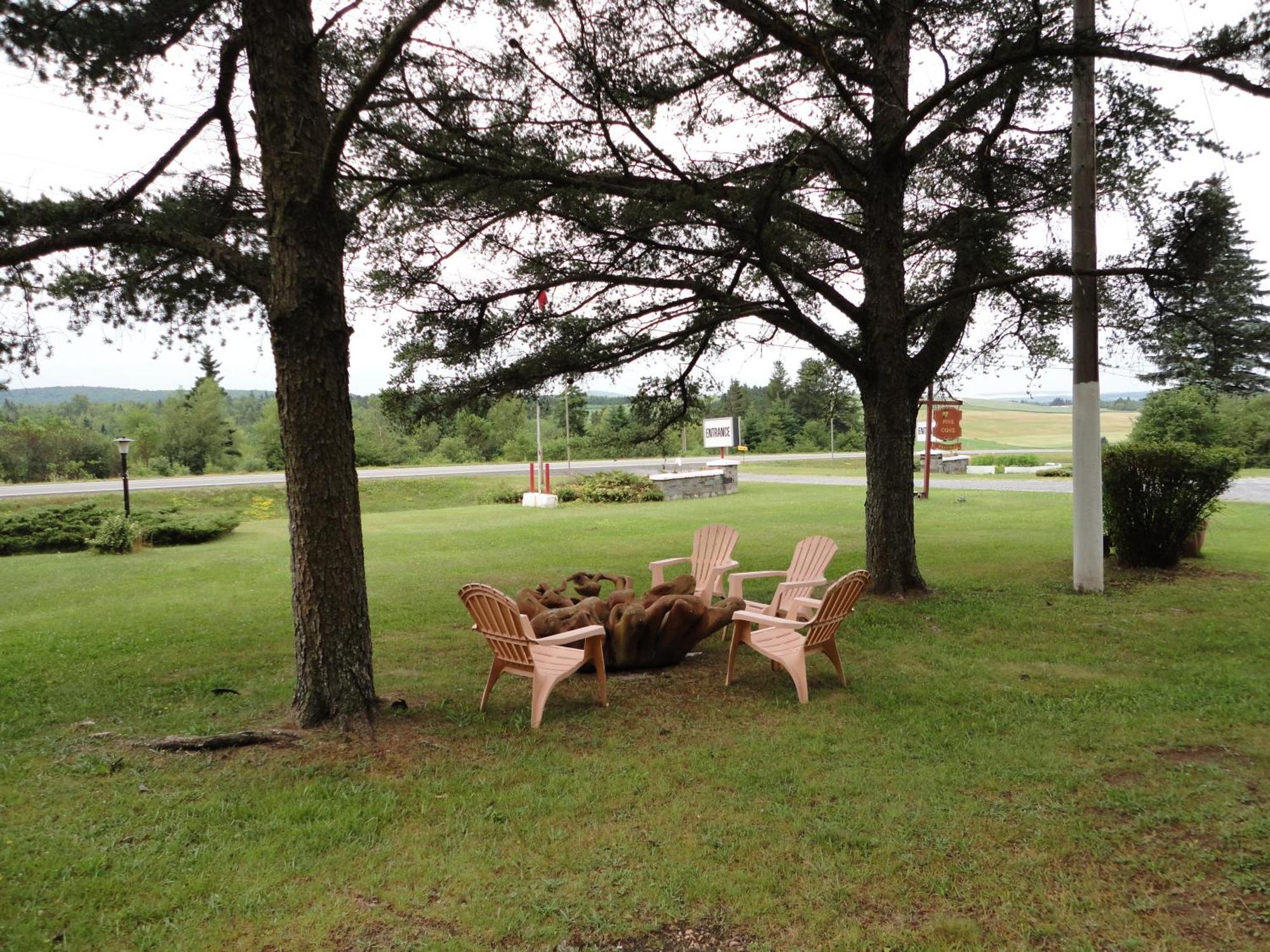 Pinecone Motel Sussex Dış mekan fotoğraf