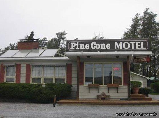 Pinecone Motel Sussex Dış mekan fotoğraf