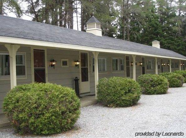 Pinecone Motel Sussex Dış mekan fotoğraf