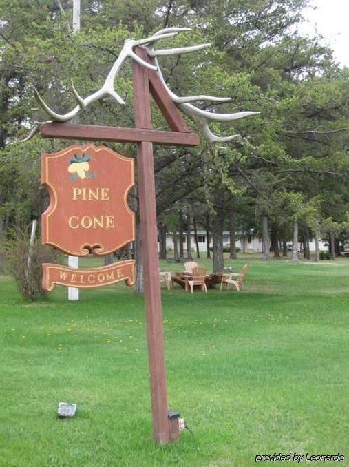 Pinecone Motel Sussex Dış mekan fotoğraf