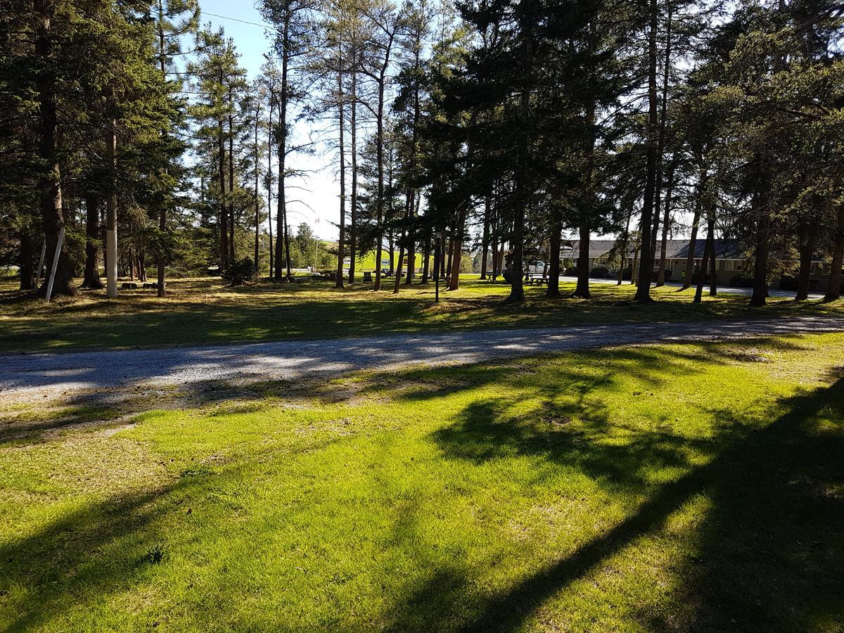 Pinecone Motel Sussex Dış mekan fotoğraf