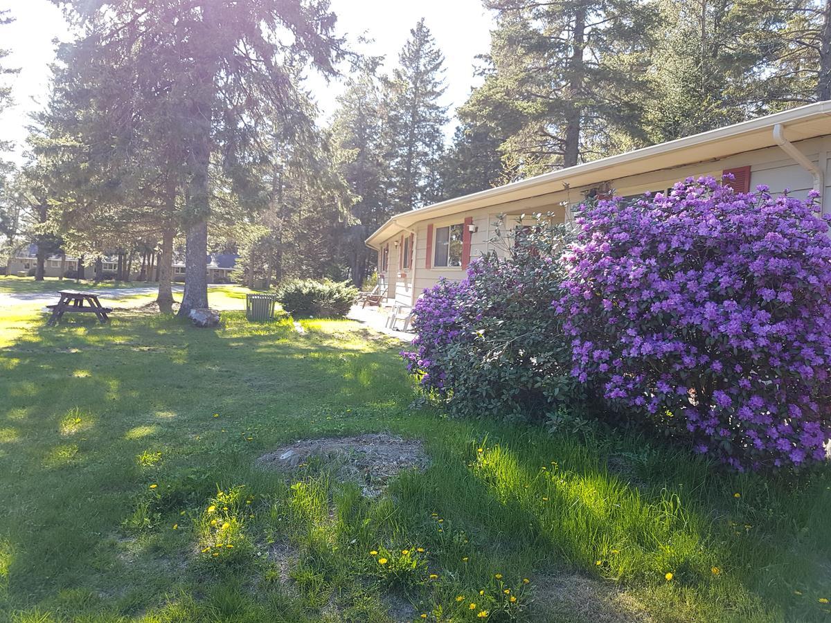 Pinecone Motel Sussex Dış mekan fotoğraf