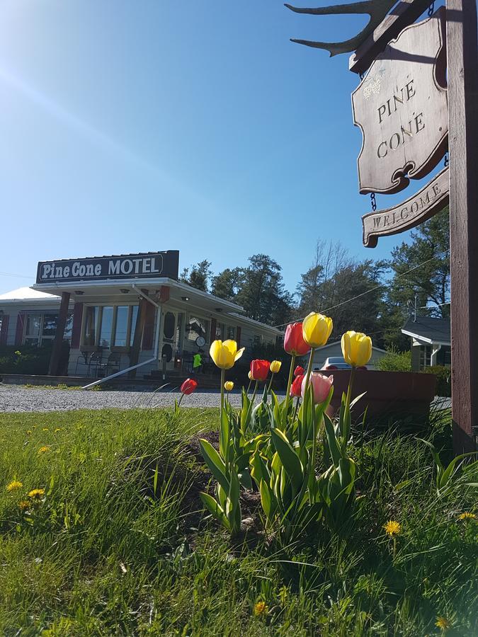 Pinecone Motel Sussex Dış mekan fotoğraf