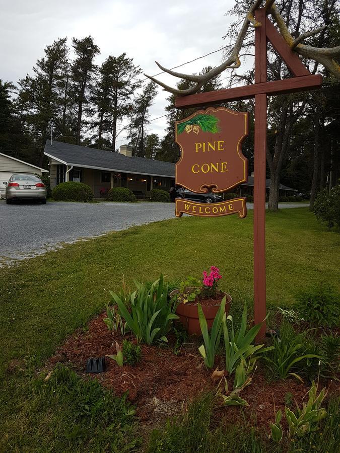 Pinecone Motel Sussex Dış mekan fotoğraf
