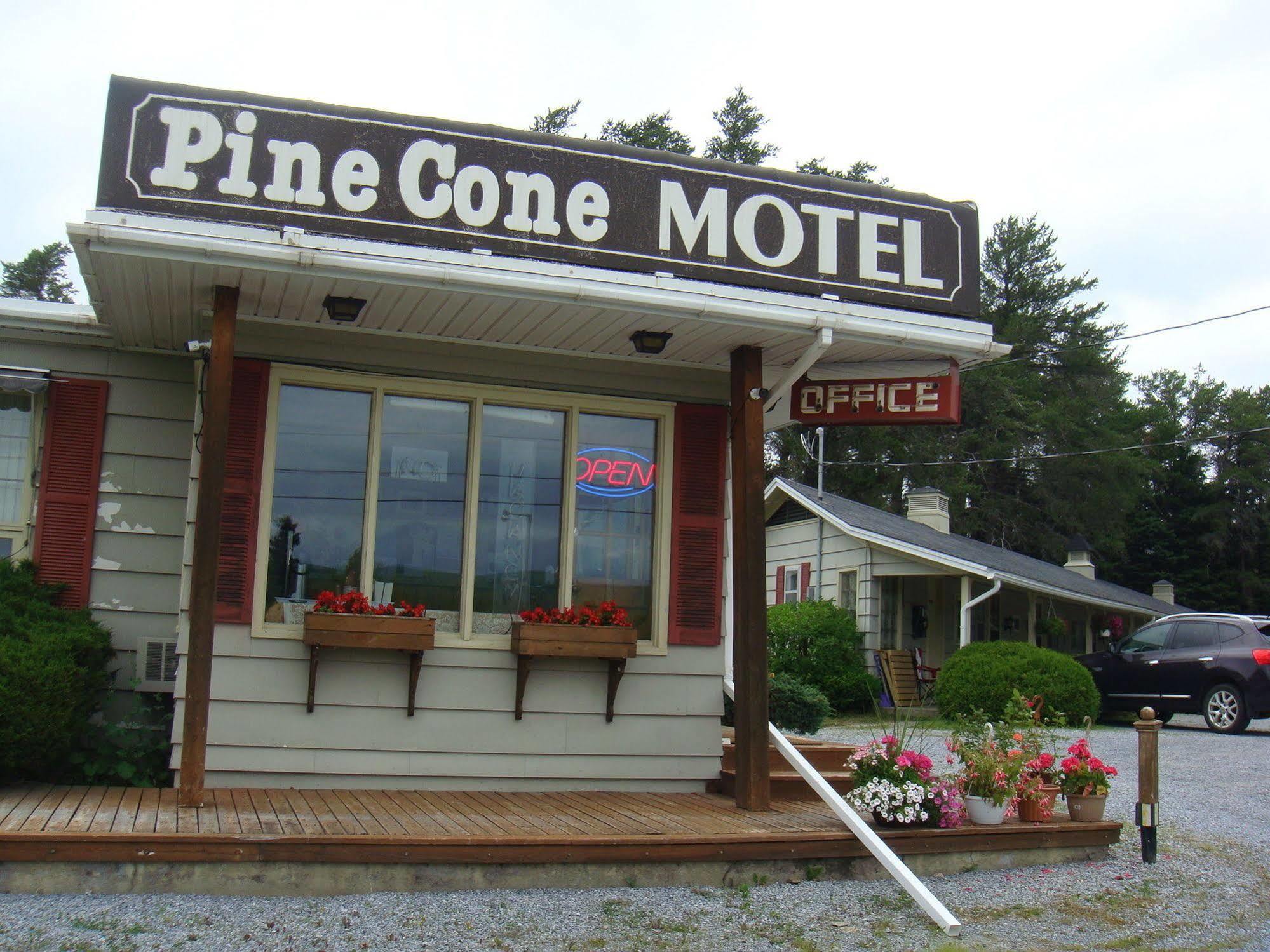 Pinecone Motel Sussex Dış mekan fotoğraf