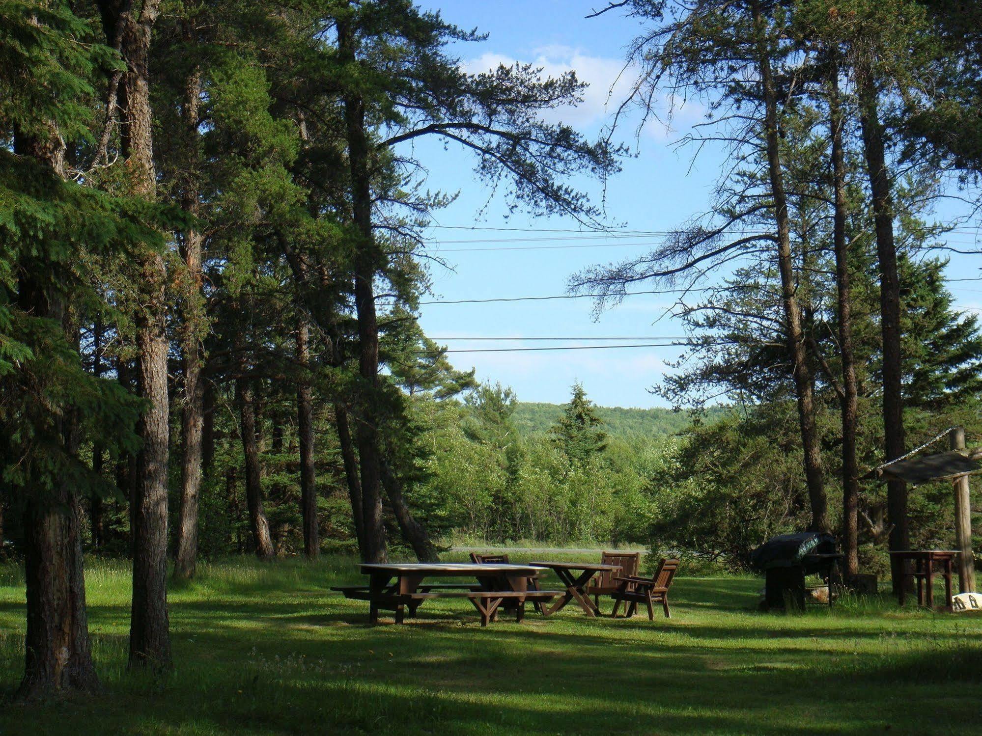 Pinecone Motel Sussex Dış mekan fotoğraf