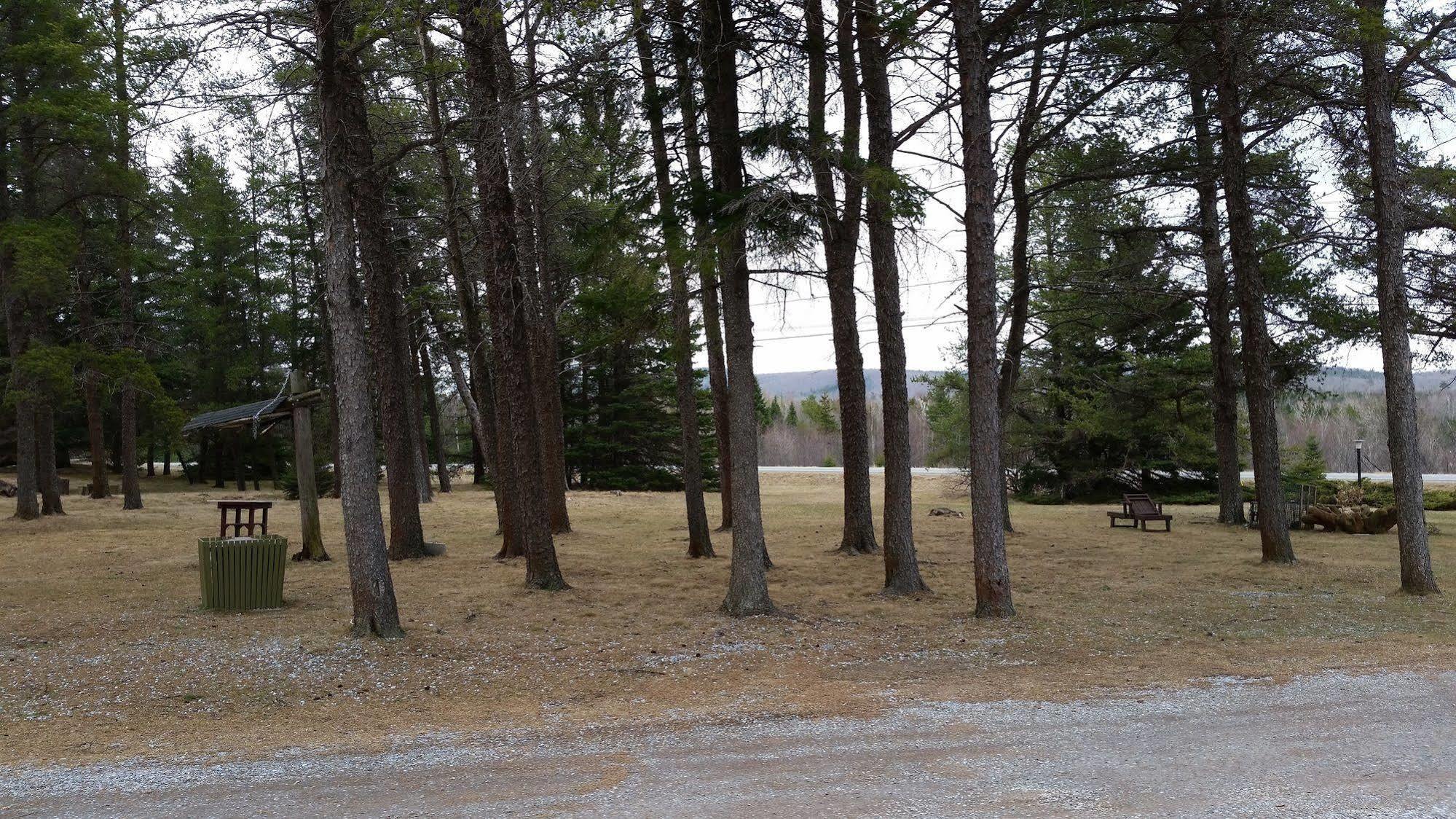 Pinecone Motel Sussex Dış mekan fotoğraf