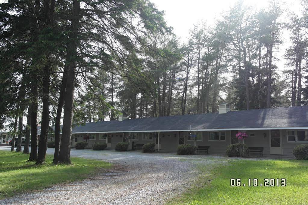 Pinecone Motel Sussex Dış mekan fotoğraf