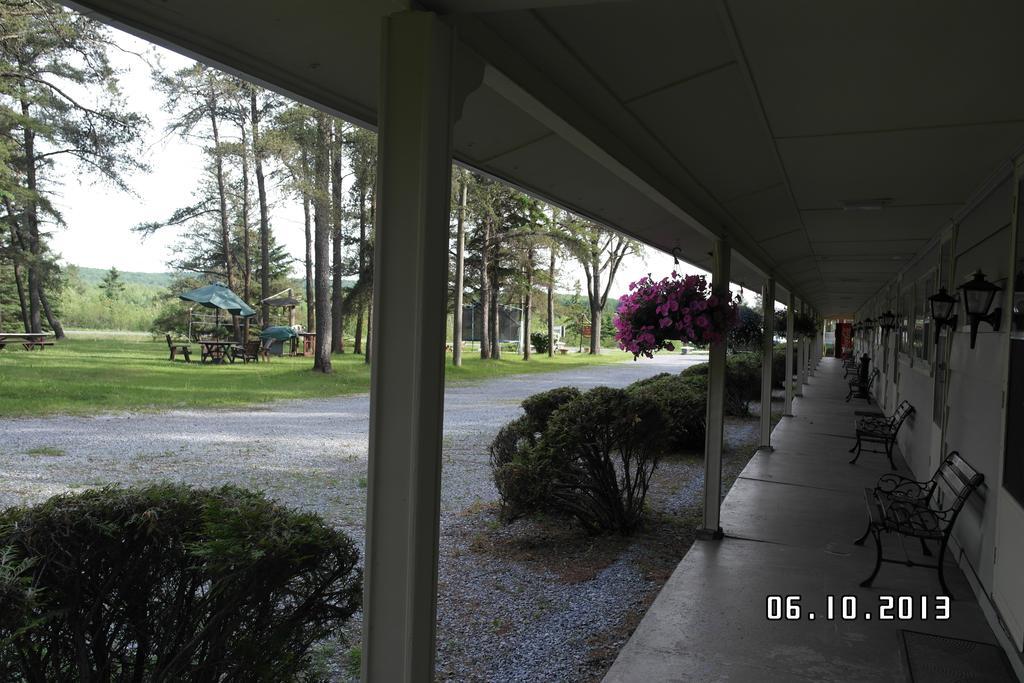Pinecone Motel Sussex Dış mekan fotoğraf