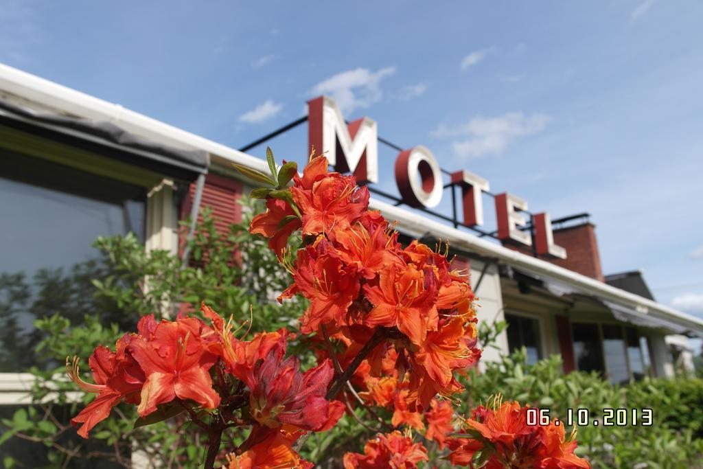 Pinecone Motel Sussex Dış mekan fotoğraf