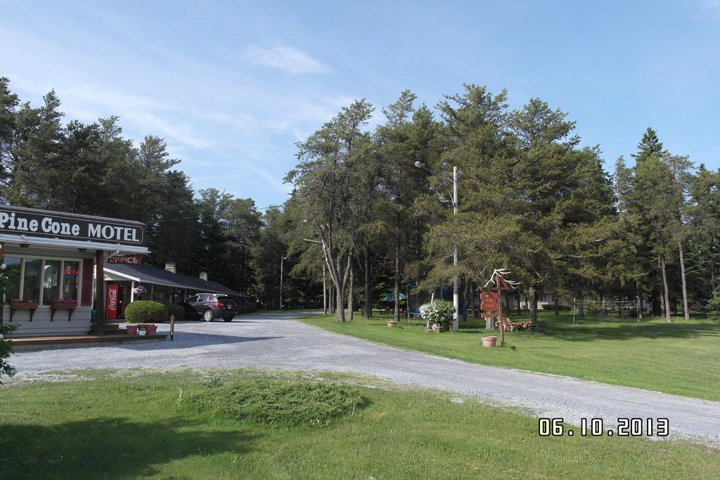 Pinecone Motel Sussex Dış mekan fotoğraf